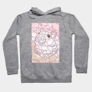 Inside the mirror-Grey Hamster Hoodie